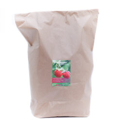 grünhopper framboise