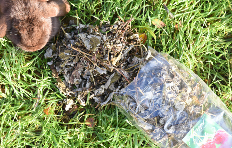 grünhopper framboise 150g