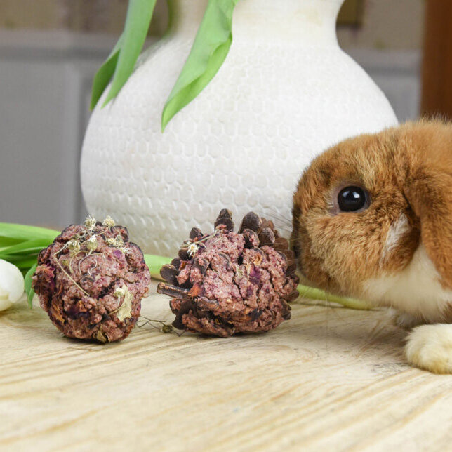 NEU Frühlingszapfen