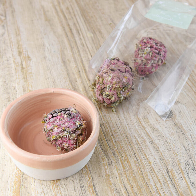 NEU Frühlingszapfen