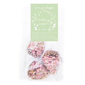 NEU Frühlingszapfen