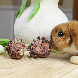 NEU Frühlingszapfen