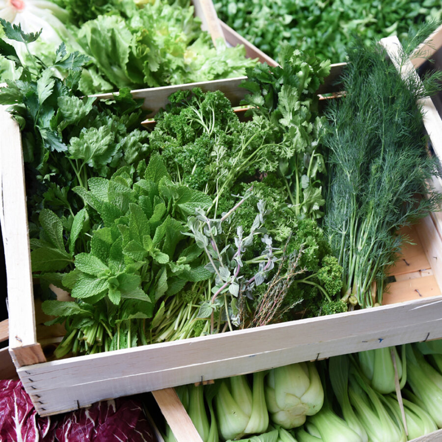 Frischekiste Gartenkräuter