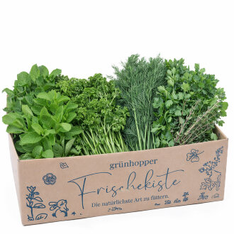 Frischekiste Gartenkr&auml;uter AUSVERKAUFT