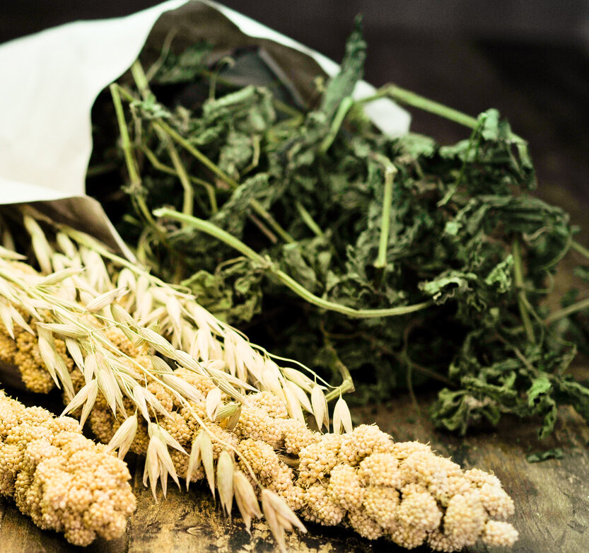 grünhopper Große Ortie