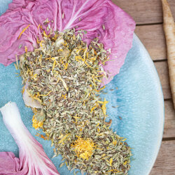 grünhopper Bien-être intestinal