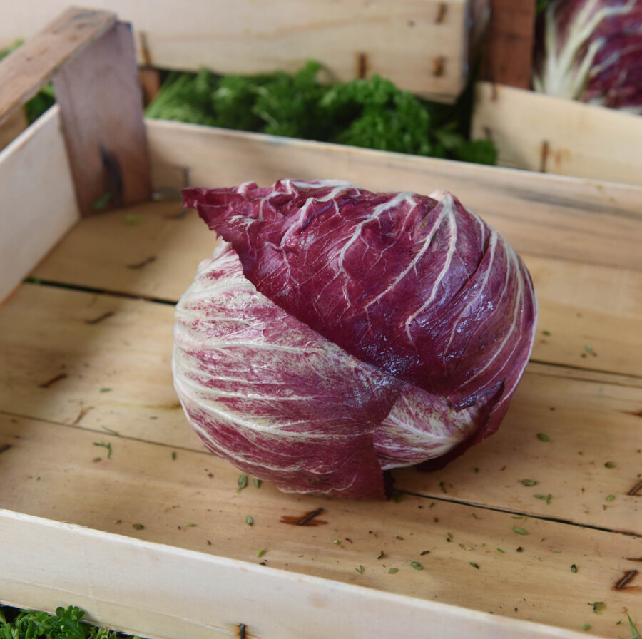 Frischekiste Radicchio 500 g