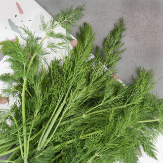 Frischekiste Dill AUSVERKAUFT!