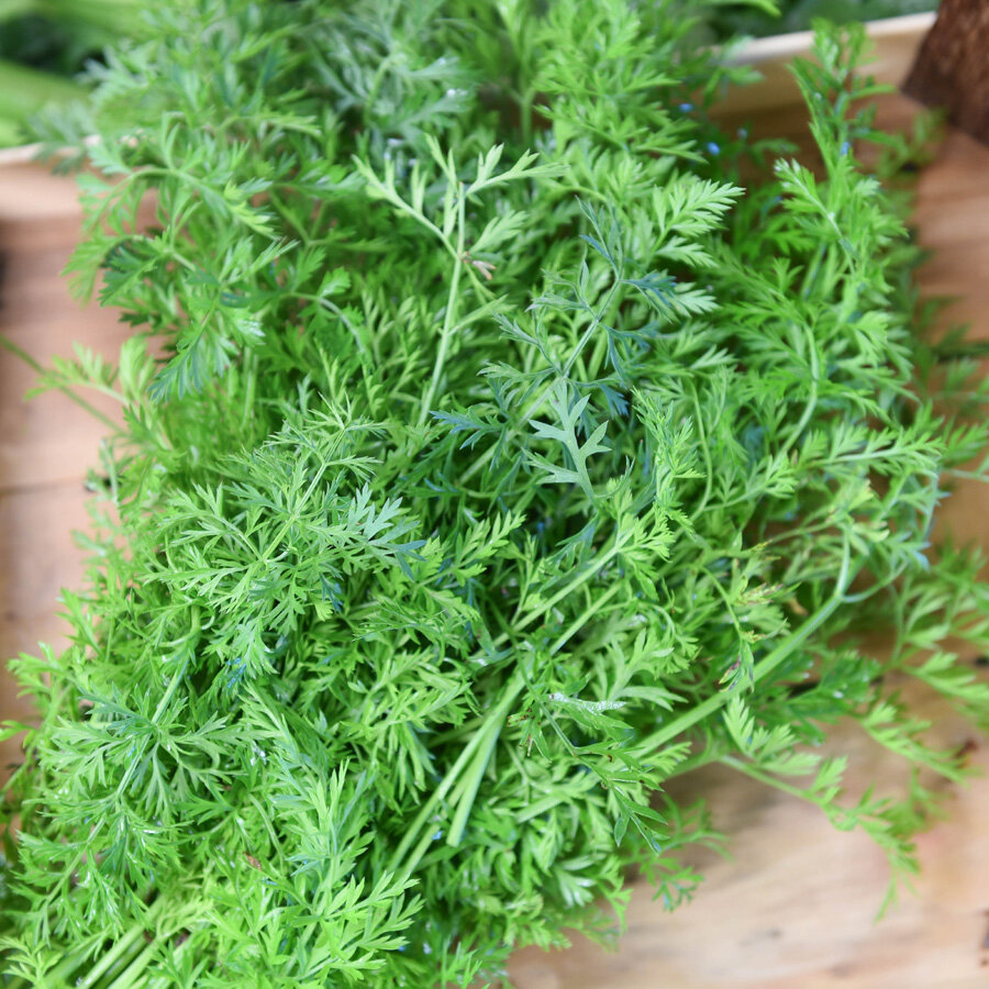 Frischekiste Karottengrün