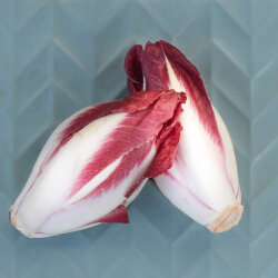 Frischekiste ROTER Chicoree