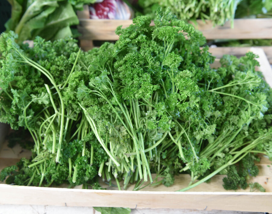 Frischekiste Petersilie kraus 2 kg