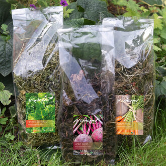 Feuilles dautomne Snacks