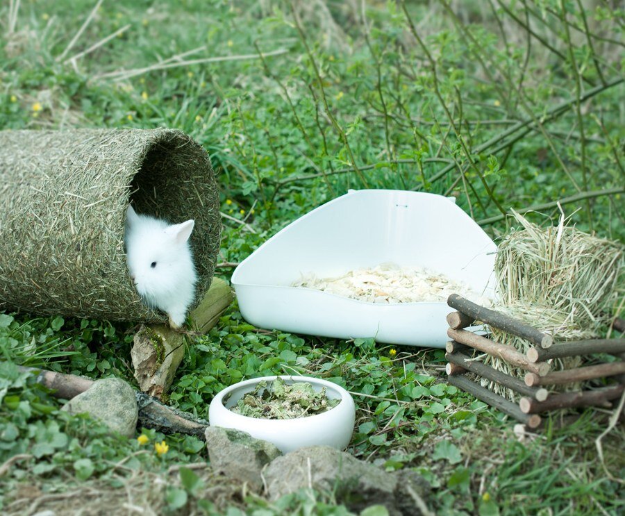 grünhopper Heutunnel