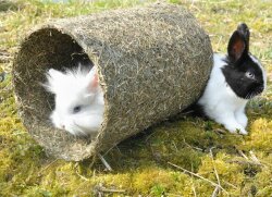 grünhopper Heutunnel