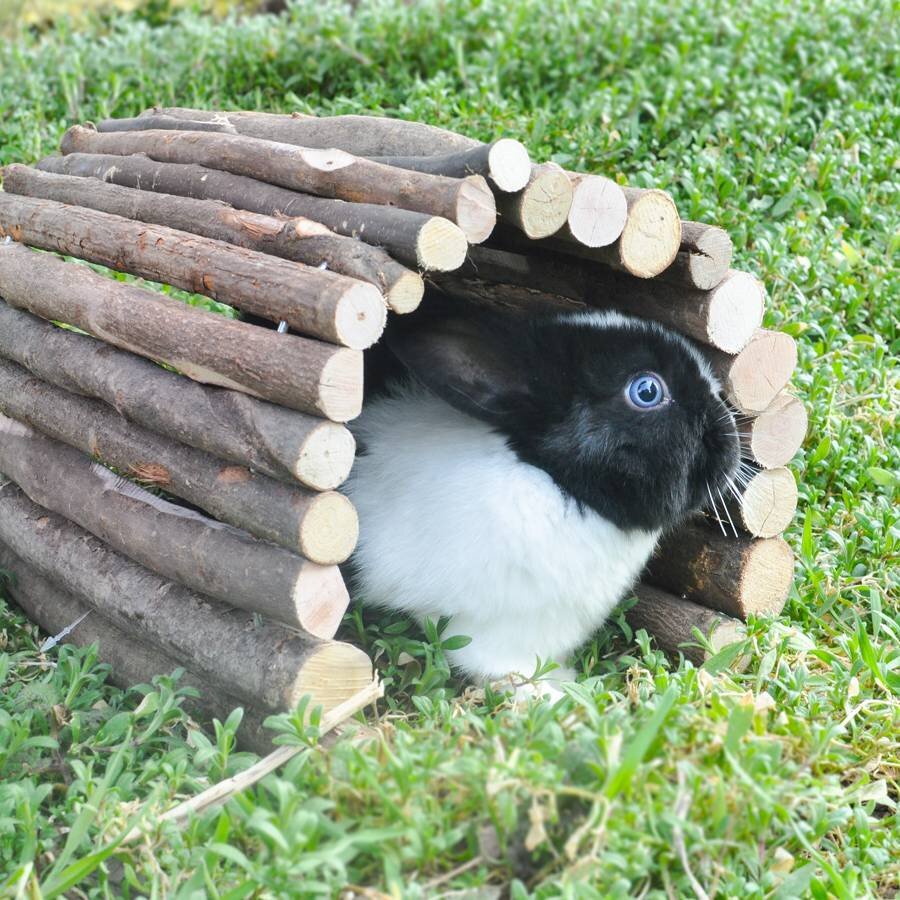 grünhopper Holztunnel