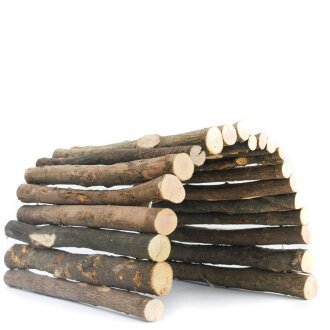 gr&uuml;nhopper Holztunnel