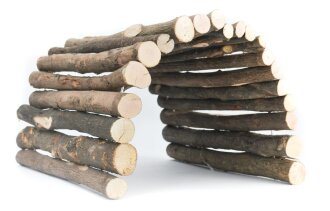 grünhopper Holztunnel