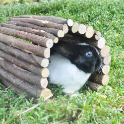 grünhopper Holztunnel