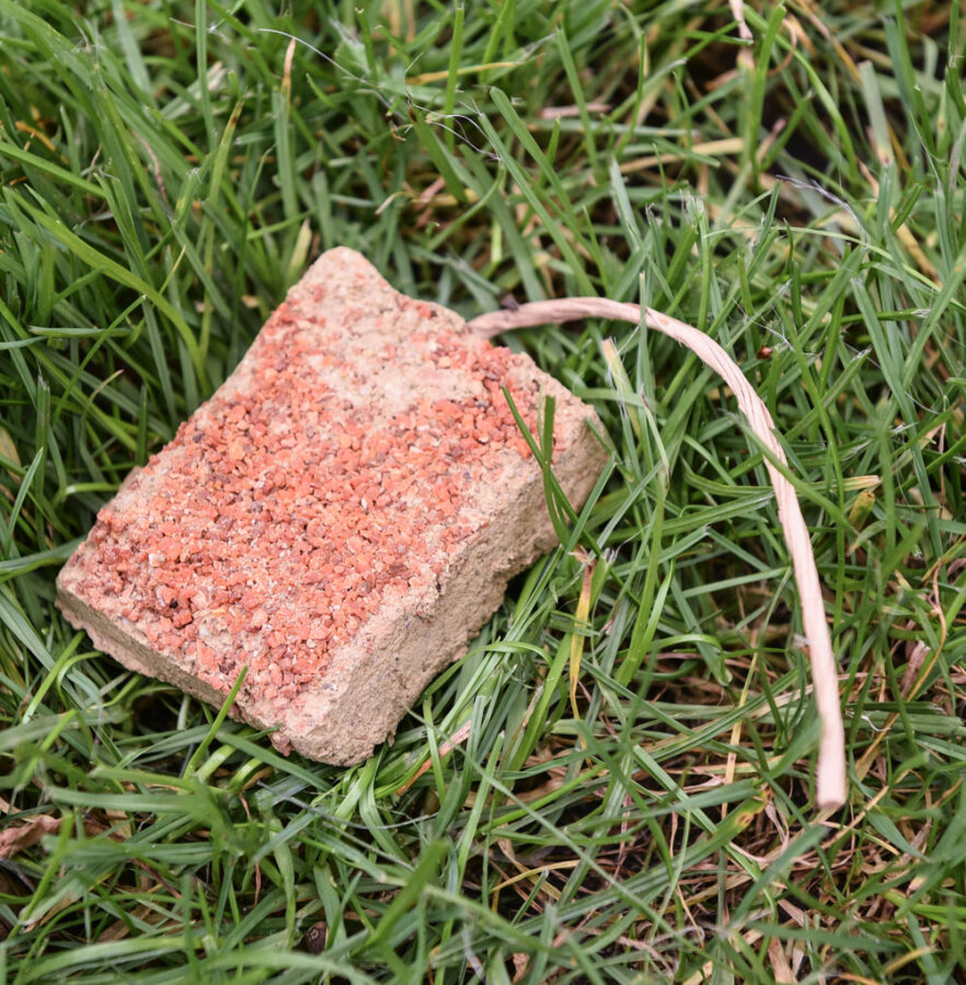 grünhopper Lehmstein