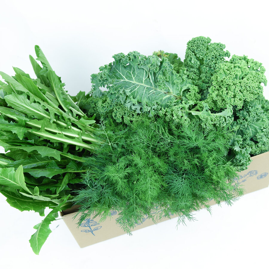 Frischekiste Winterfutter