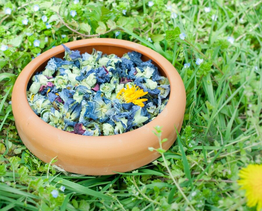 Strukturfutternapf extra groß