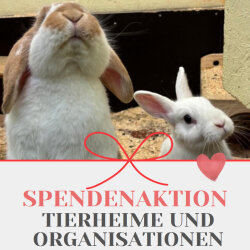 Spendenaktion