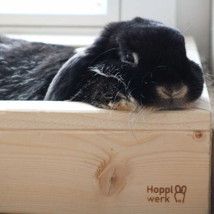 Hopplwerk Hopplertoilette