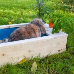 Hopplwerk Toilette mit Möhrchenbar