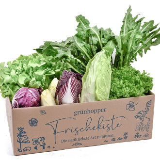 Frischekiste Bittersalatbox
