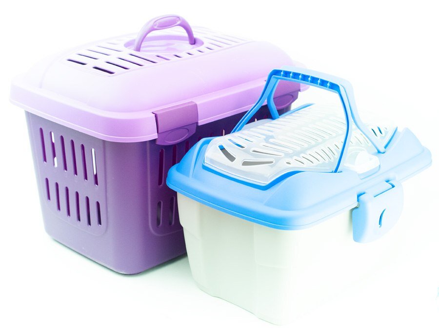 Transportbox Meerschweinchen