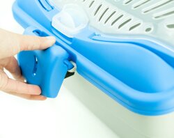 Transportbox Meerschweinchen