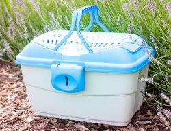 Transportbox Meerschweinchen