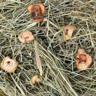 grünhopper Birnenapfelheu 500 g