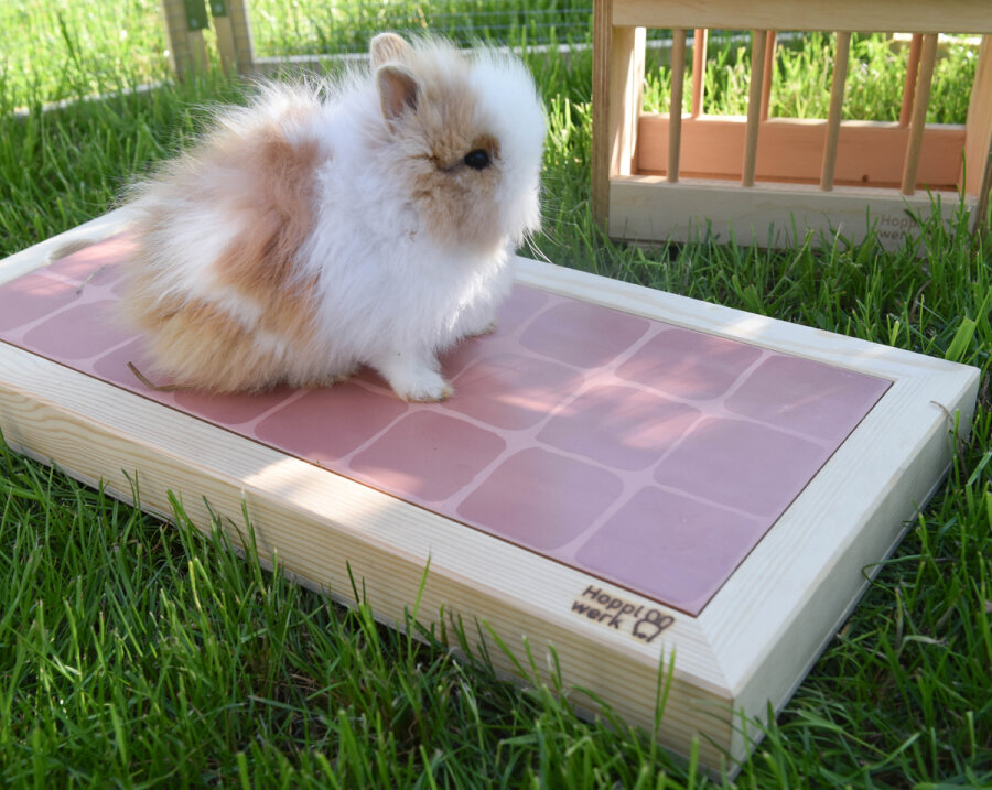 Hopplwerk chill cool