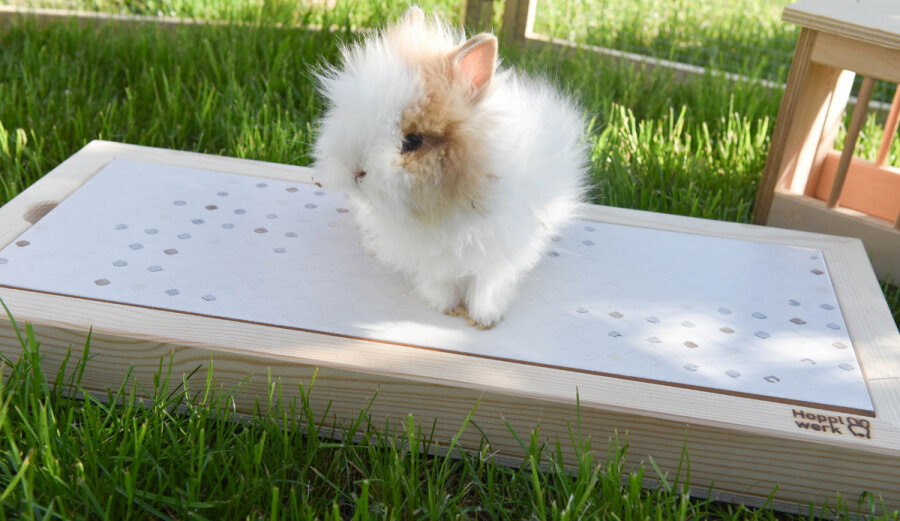 Hopplwerk chill cool