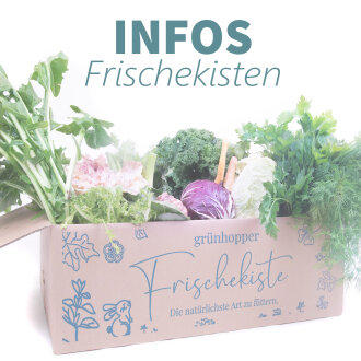 Frischekisten Infos