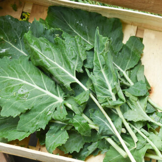 Frischekiste Kohlrabiblätter