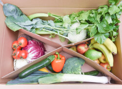 Frischekiste Obst Veggie Box