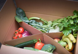 Frischekiste Obst Veggie Box