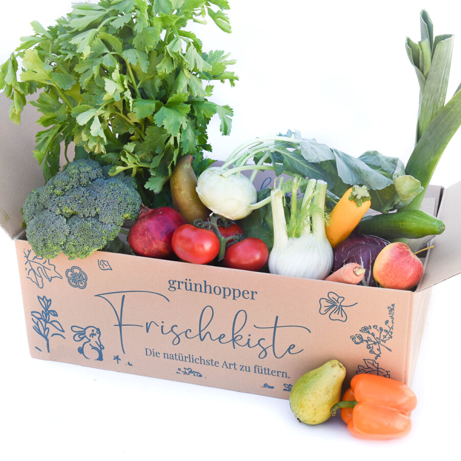 Frischekiste Obst Veggie Box 5 kg