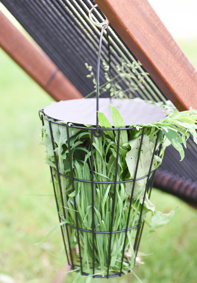 Grünfutterraufe Melissa