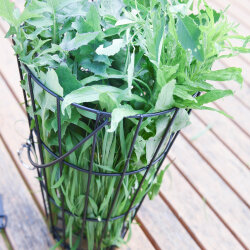 Grünfutterraufe Melissa