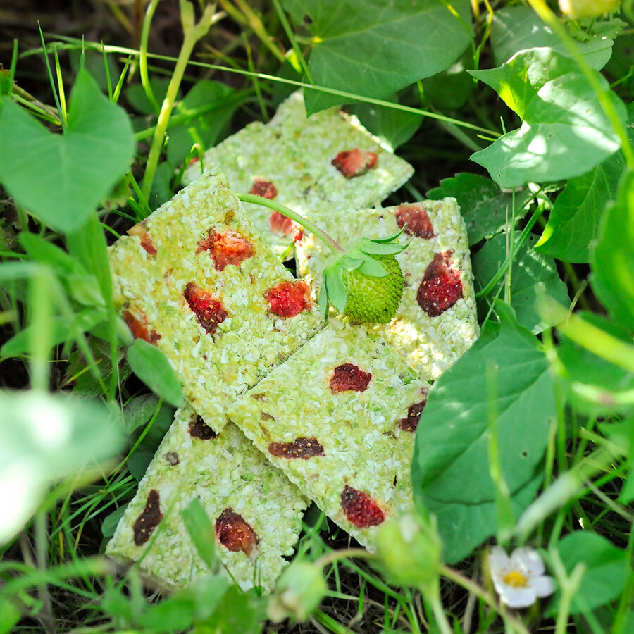 grünhopper Hopps grüne fraise