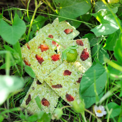 grünhopper Hopps grüne fraise