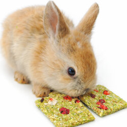 grünhopper Hopps grüne fraise