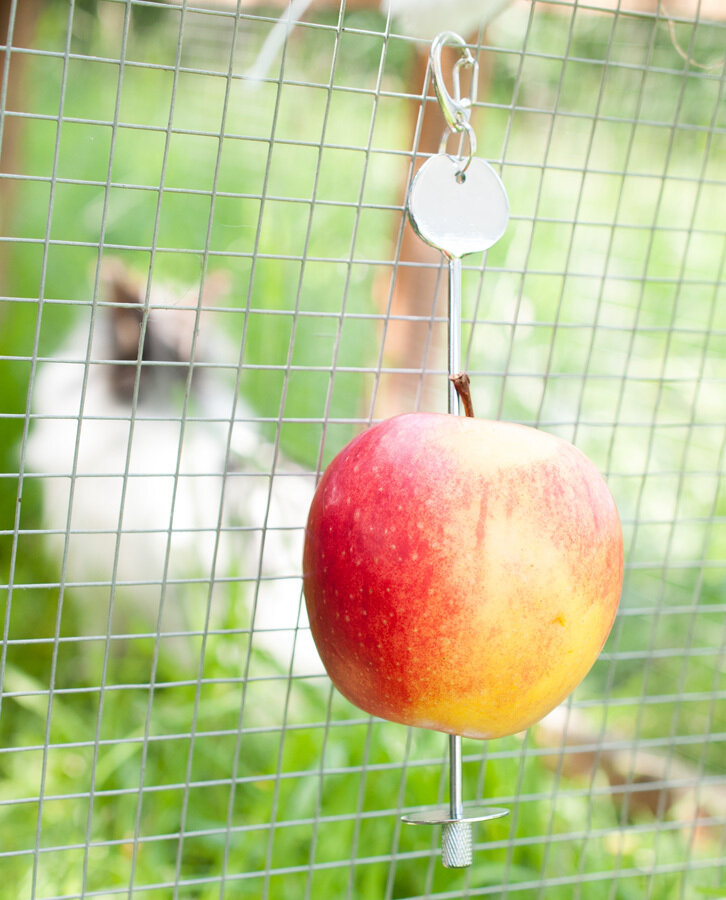 grunhopper Fruchtspieß