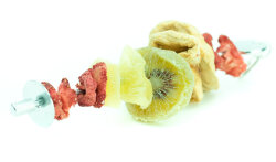 grunhopper Fruchtspieß