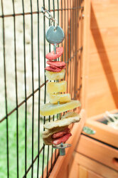 grunhopper Fruchtspieß