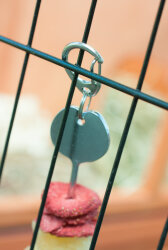 grunhopper Fruchtspieß