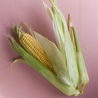 Frischekiste Maiskolben